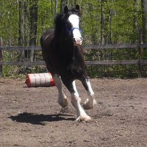 Meet your Posher, Kelly